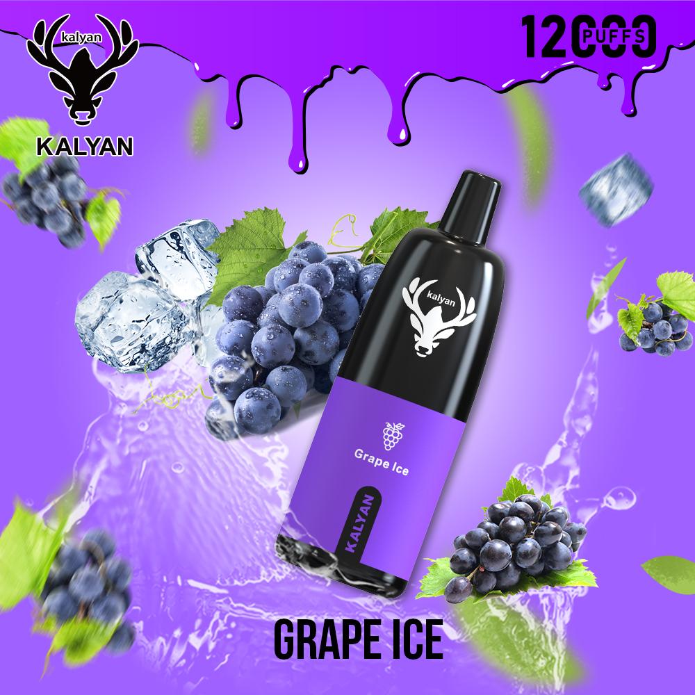Grape Ice by Kalyan Pro 12000